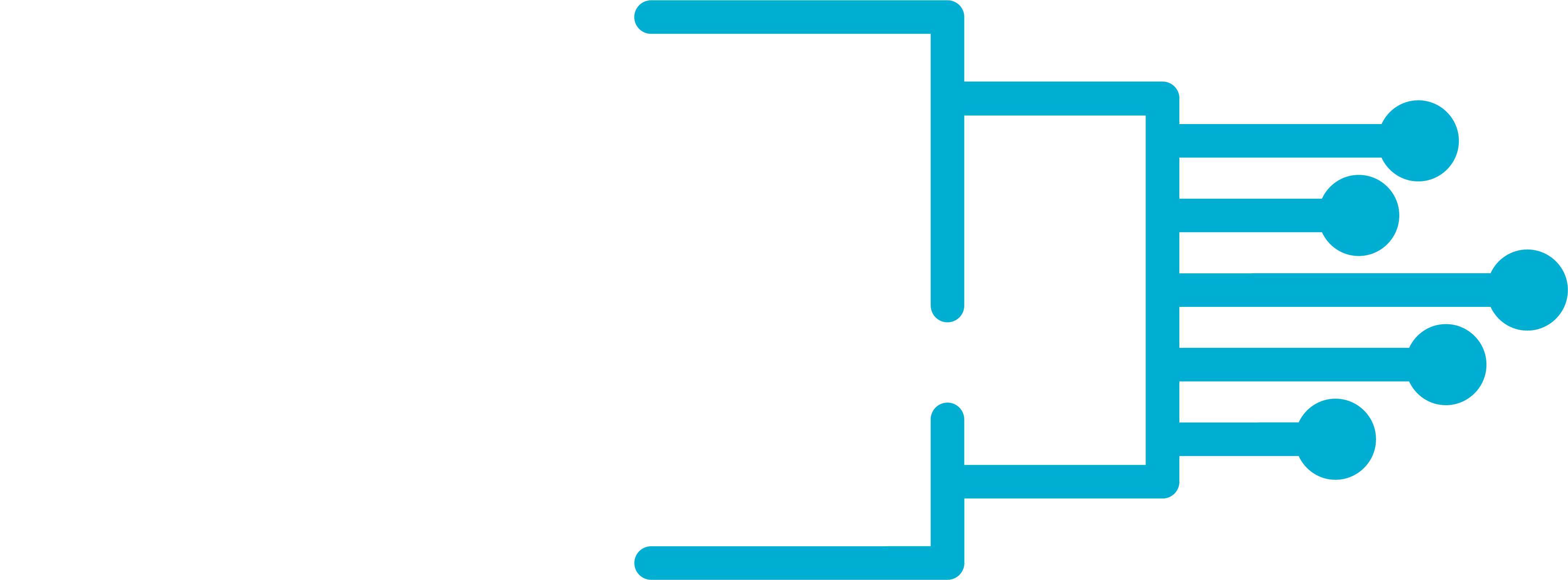 RFN | High Speed Fiber